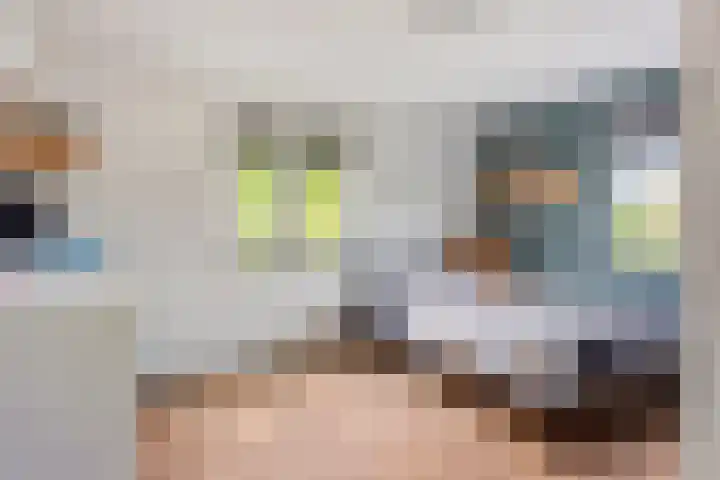 Burgemeester van Campenhoutstraat 8 Made thumbnail 22