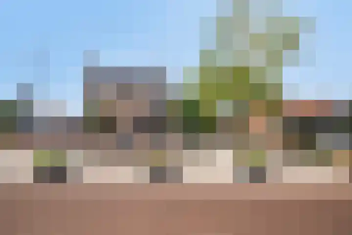 Burgemeester van Campenhoutstraat 8 Made thumbnail 36
