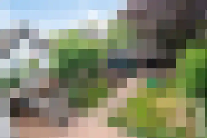 Burgemeester van Campenhoutstraat 8 Made thumbnail 7