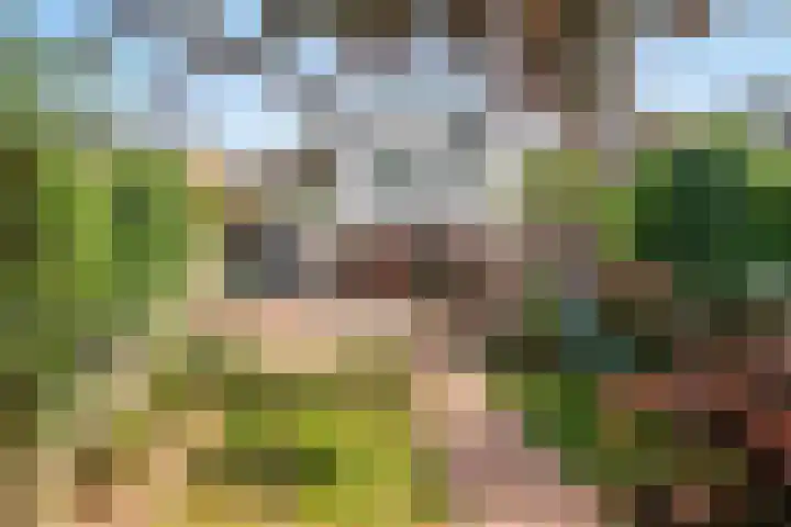 Burgemeester van Campenhoutstraat 8 Made thumbnail 8