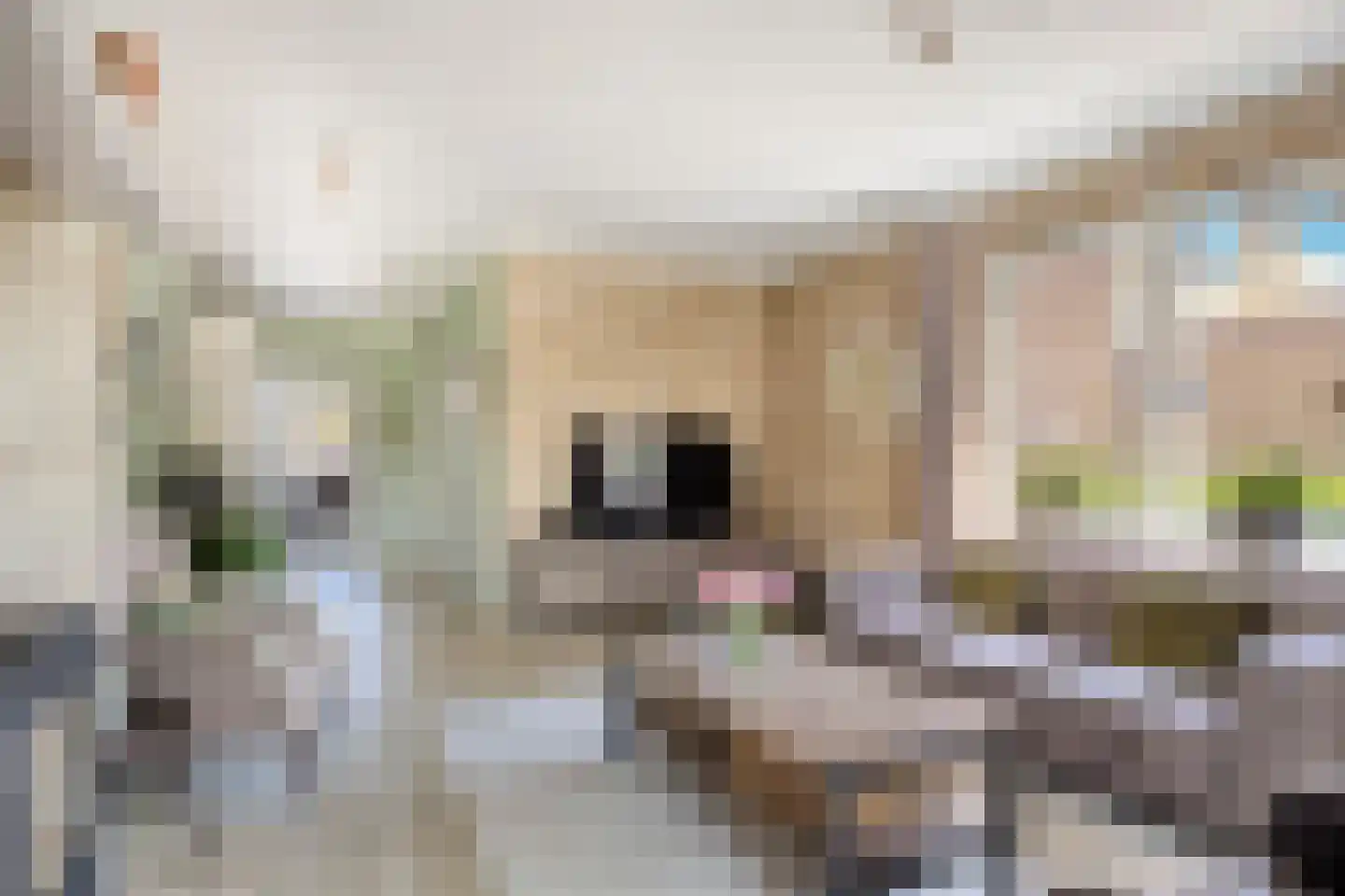 Burgemeester van Campenhoutstraat 9 Made thumbnail 11