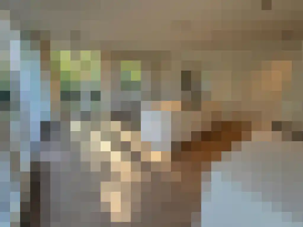 Burgemeester van Damstraat 15 Duivendrecht thumbnail 6