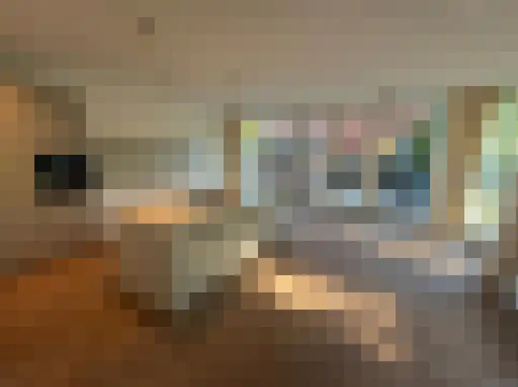Burgemeester van Damstraat 15 Duivendrecht thumbnail 6
