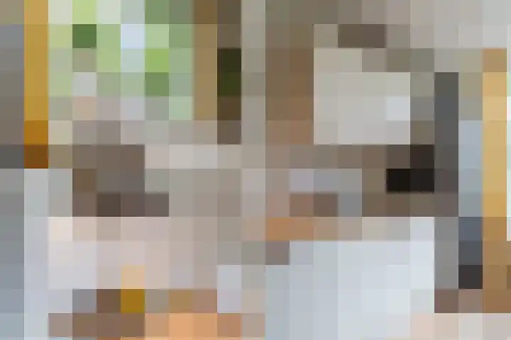 Burgemeester van Damstraat 3 Duivendrecht thumbnail 19
