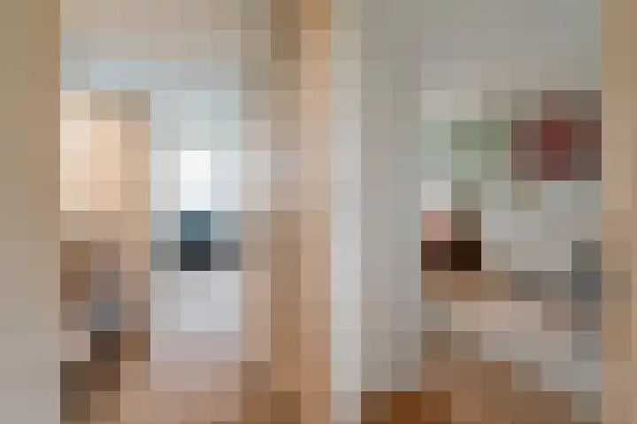 Burgemeester van Damstraat 3 Duivendrecht thumbnail 29