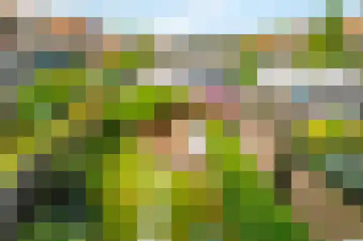 Burgemeester van Damstraat 3 Duivendrecht thumbnail 39