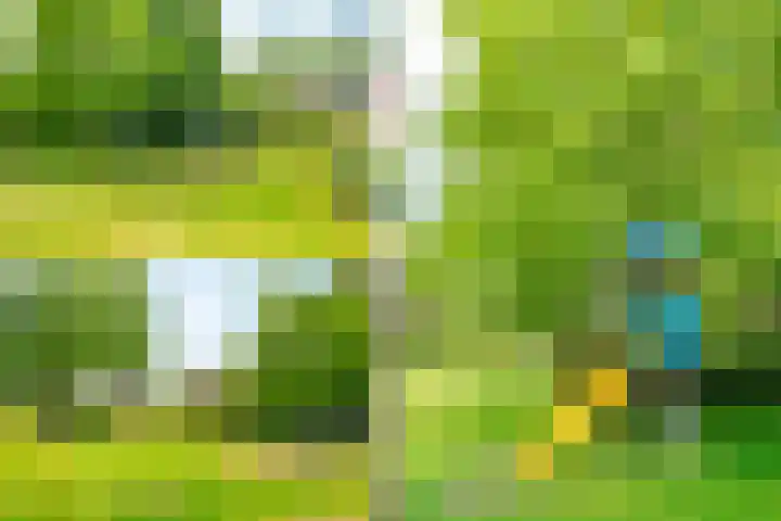 Burgemeester van Damstraat 3 Duivendrecht thumbnail 49