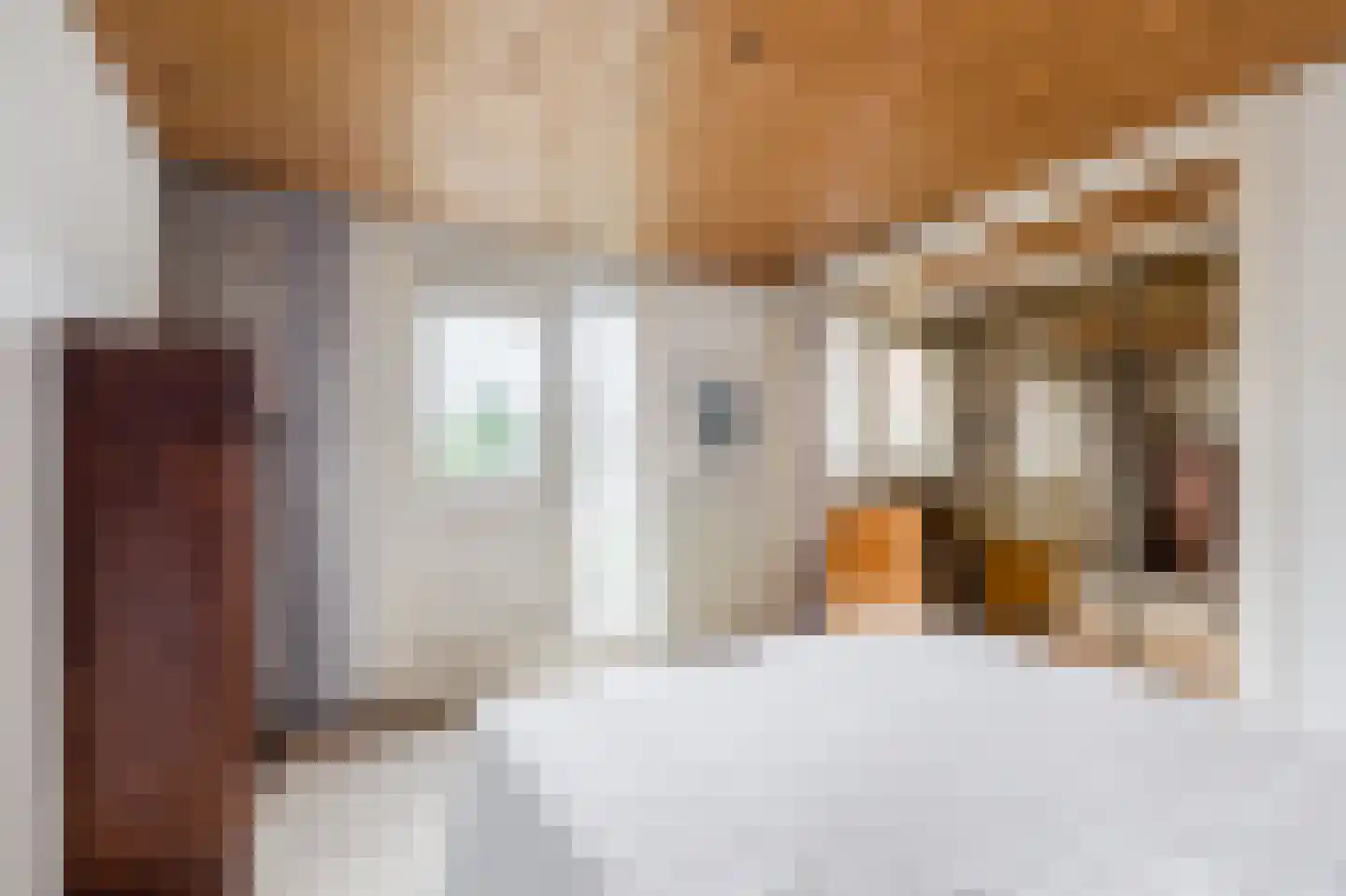 Burgemeester van Damstraat 6 Duivendrecht thumbnail 15