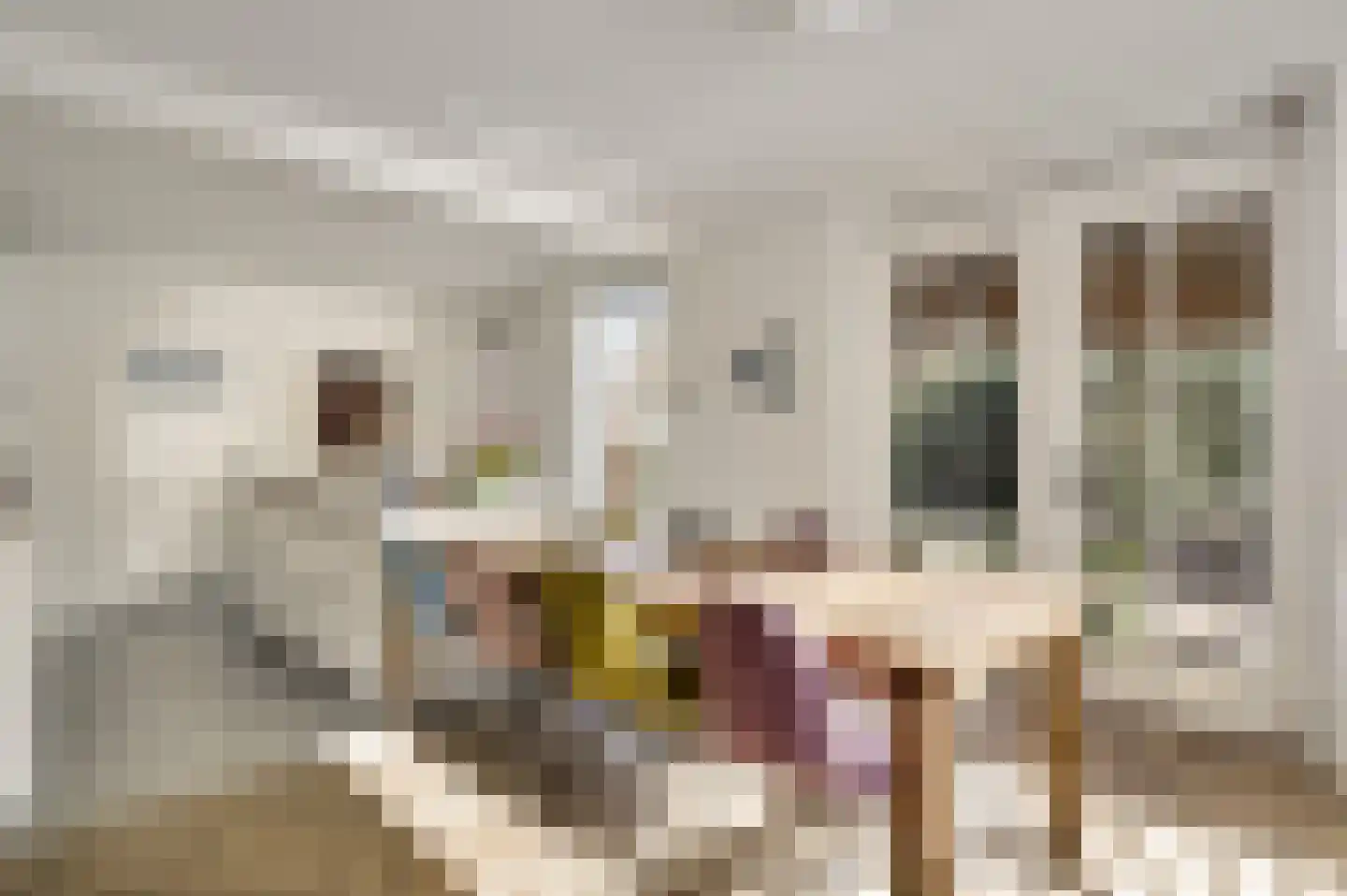 Burgemeester van de Broekstraat 1 Haelen thumbnail 15