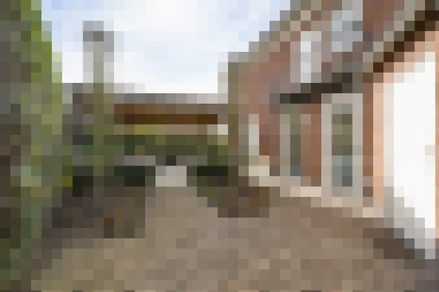 Burgemeester van de Broekstraat 1 Haelen thumbnail 24