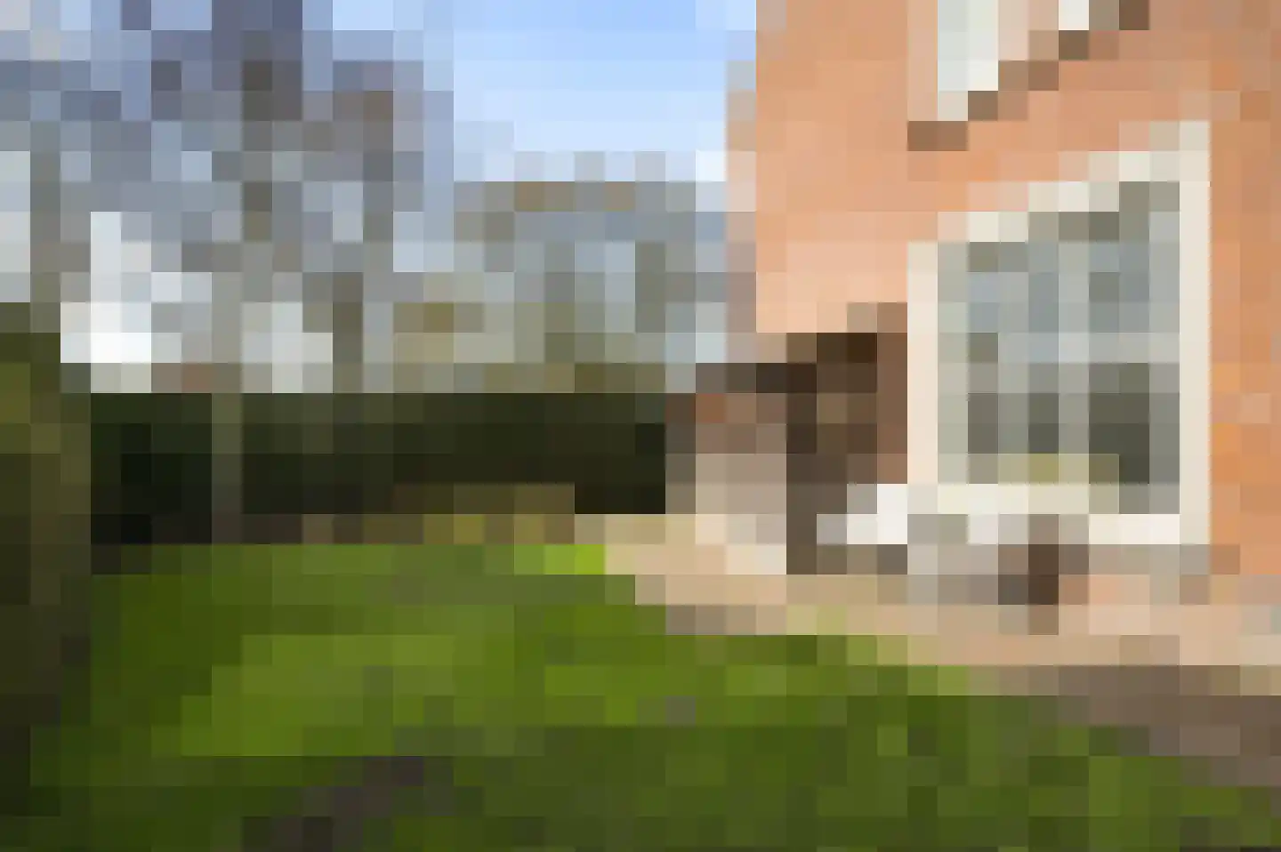 Burgemeester van de Broekstraat 1 Haelen thumbnail 27