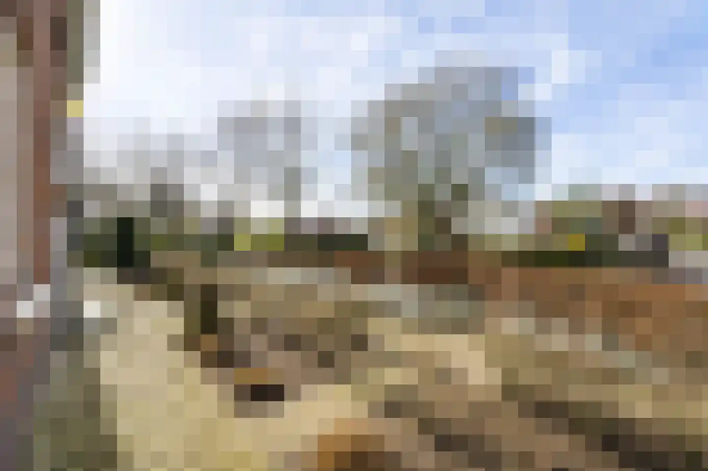 Burgemeester van de Broekstraat 1 Haelen thumbnail 8