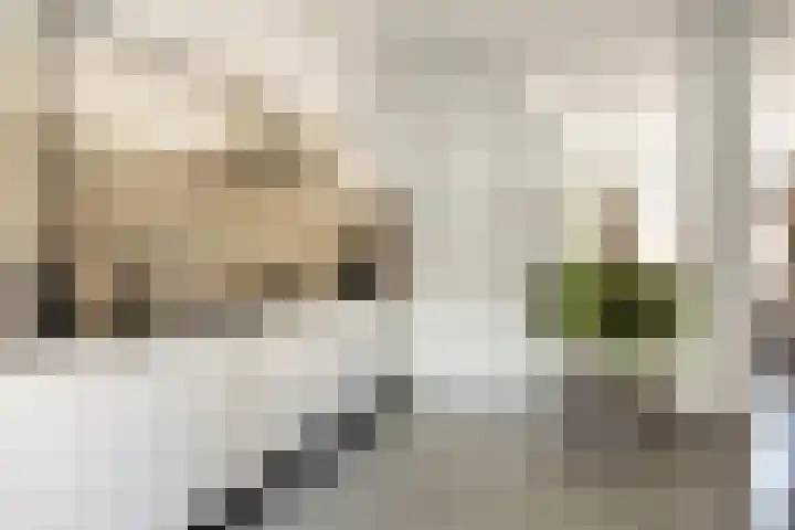 Burgemeester van de Heijdenstraat 61 Drunen thumbnail 10