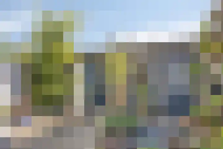 Burgemeester van de Heijdenstraat 61 Drunen thumbnail 21