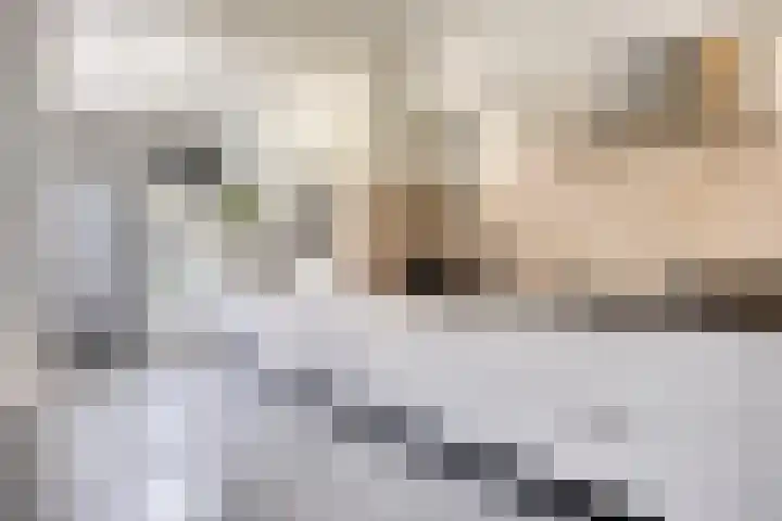 Burgemeester van de Heijdenstraat 61 Drunen thumbnail 4