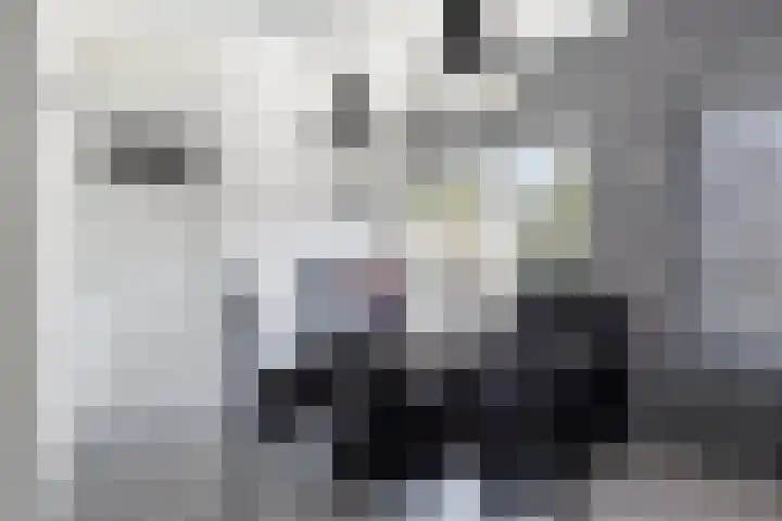Burgemeester van de Heijdenstraat 61 Drunen thumbnail 5