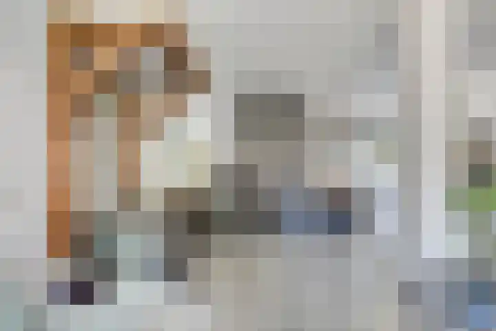 Burgemeester van de Heijdenstraat 61 Drunen thumbnail 8