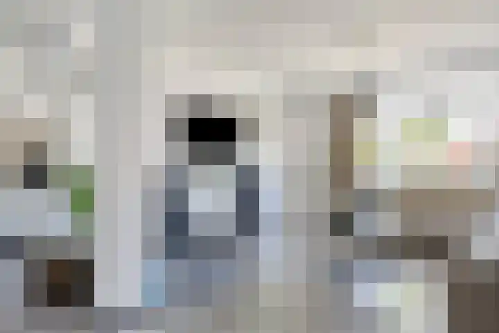 Burgemeester van de Heijdenstraat 61 Drunen thumbnail 9