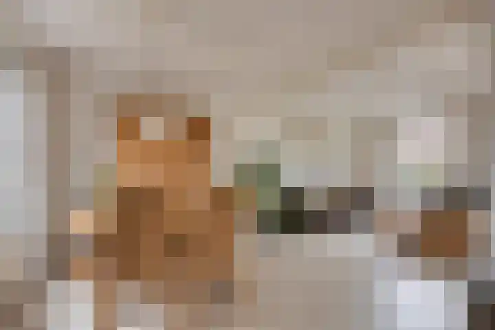 Burgemeester van de Heijdenstraat 66 Drunen thumbnail 11