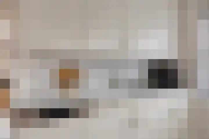 Burgemeester van de Heijdenstraat 66 Drunen thumbnail 13