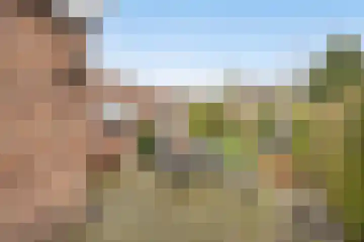 Burgemeester van de Heijdenstraat 66 Drunen thumbnail 25