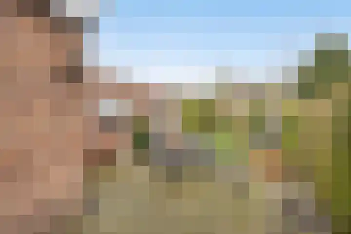 Burgemeester van de Heijdenstraat 66 Drunen thumbnail 4