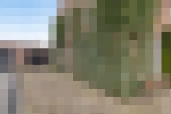 Burgemeester van de Heijdenstraat 66 Drunen thumbnail 5
