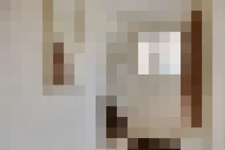 Burgemeester van de Heijdenstraat 66 Drunen thumbnail 6