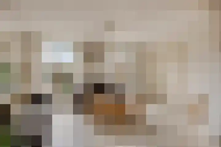 Burgemeester van de Heijdenstraat 66 Drunen thumbnail 7