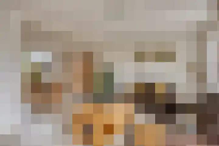 Burgemeester van de Heijdenstraat 66 Drunen thumbnail 8