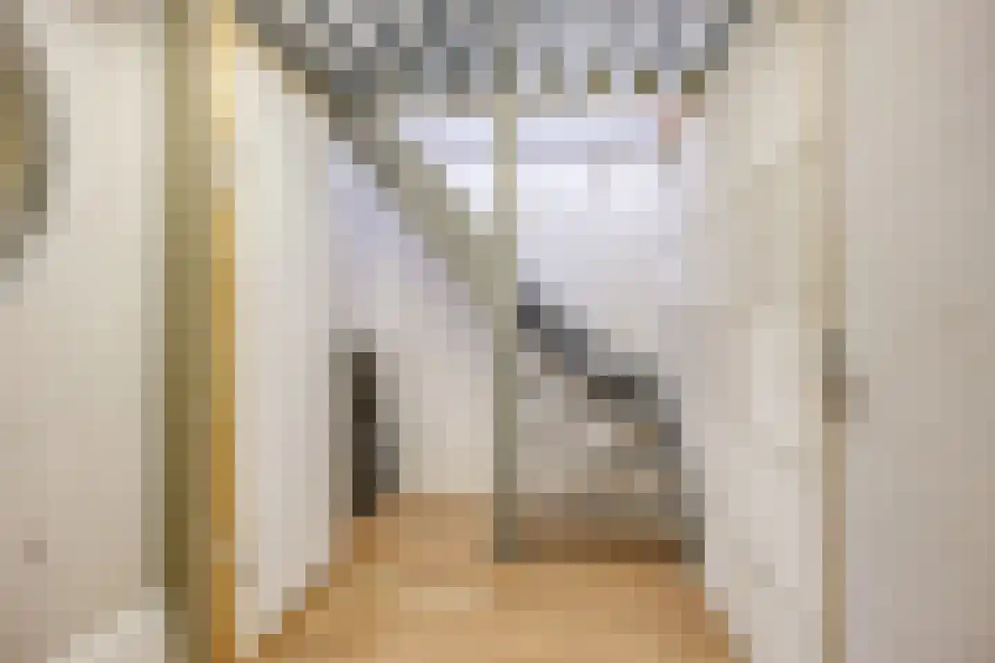 Burgemeester van de Heijdenstraat 86 Drunen thumbnail 65