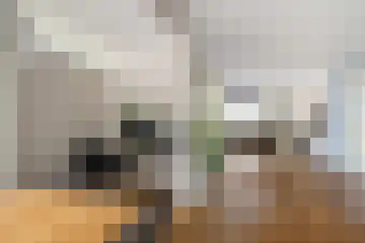 Burgemeester Van de Lindelaan 6 Nieuwerkerk aan den IJssel thumbnail 14