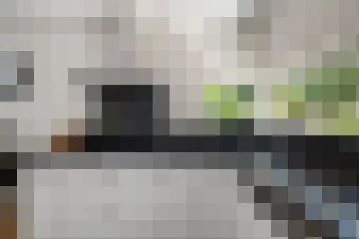 Burgemeester Van de Lindelaan 6 Nieuwerkerk aan den IJssel thumbnail 18