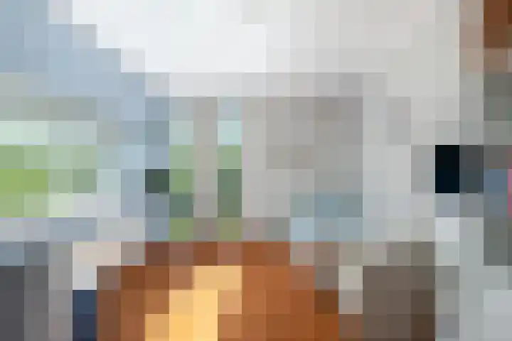 Burgemeester Van de Lindelaan 6 Nieuwerkerk aan den IJssel thumbnail 26