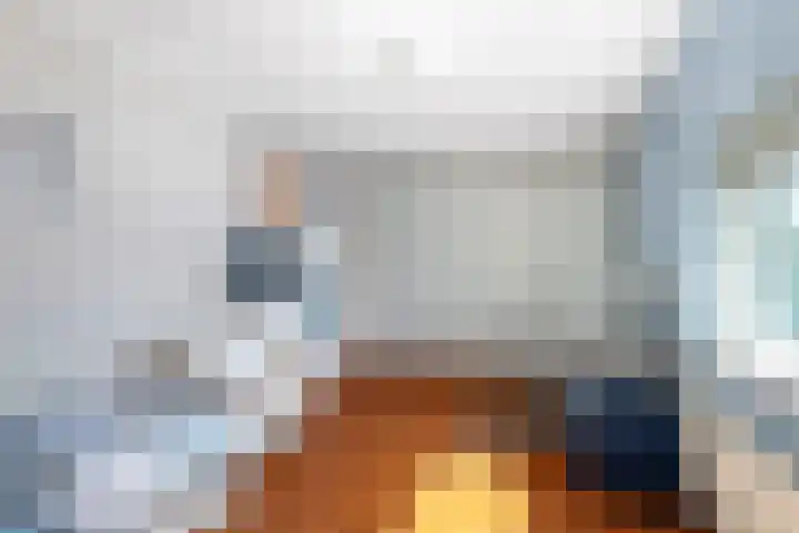 Burgemeester Van de Lindelaan 6 Nieuwerkerk aan den IJssel thumbnail 27