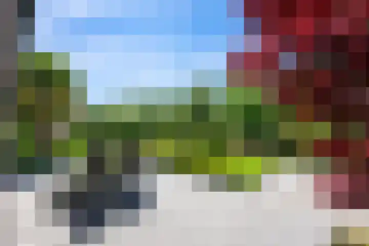 Burgemeester Van de Lindelaan 6 Nieuwerkerk aan den IJssel thumbnail 36