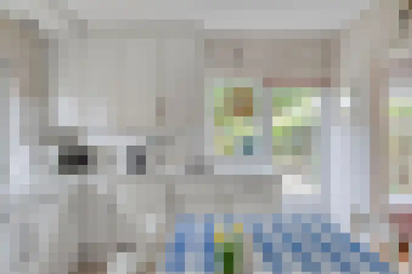 Burgemeester van de Loostraat 10 Berg en Terblijt thumbnail 12