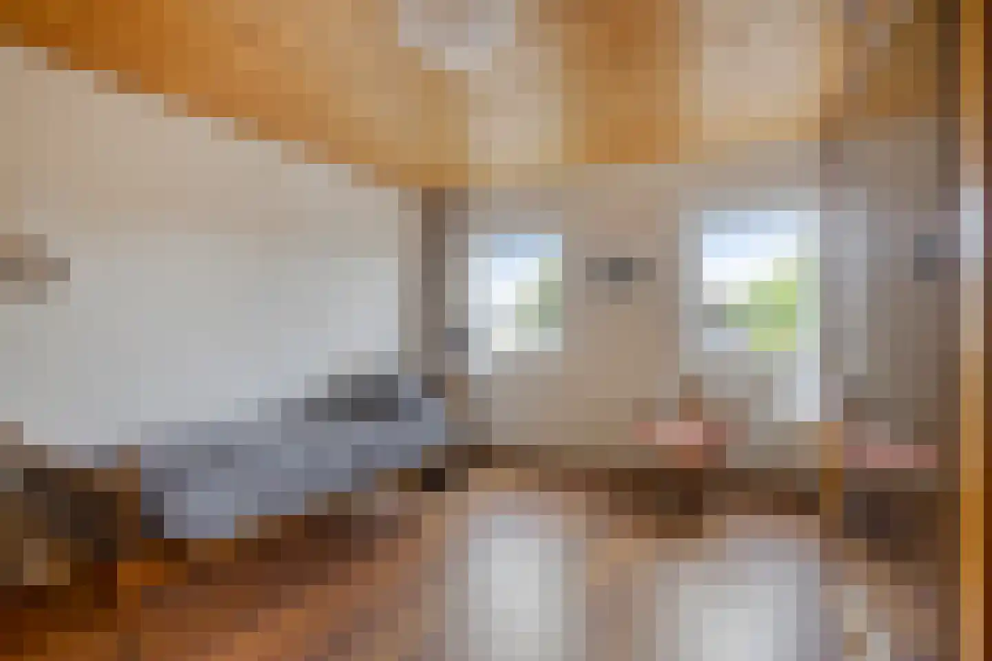 Burgemeester van de Loostraat 10 Berg en Terblijt thumbnail 20