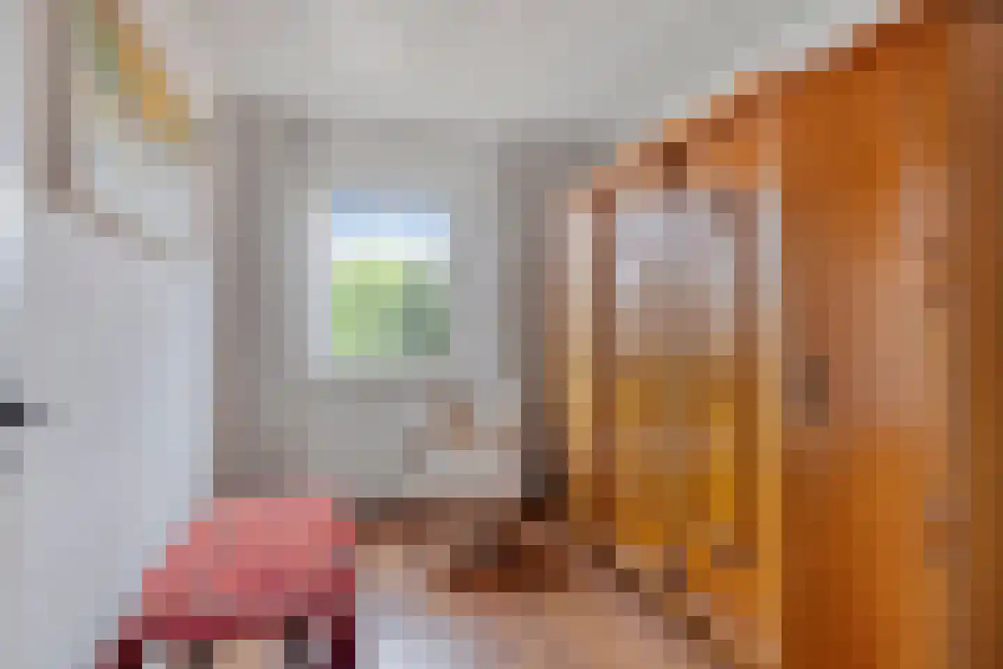 Burgemeester van de Loostraat 10 Berg en Terblijt thumbnail 22