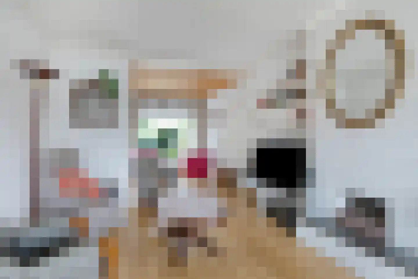 Burgemeester van de Loostraat 10 Berg en Terblijt thumbnail 8