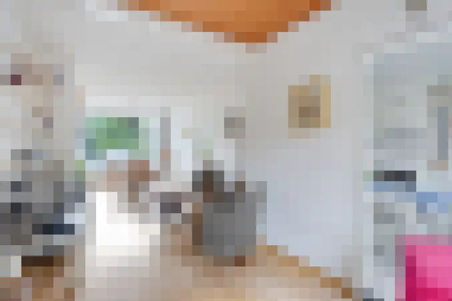 Burgemeester van de Loostraat 10 Berg en Terblijt thumbnail 9