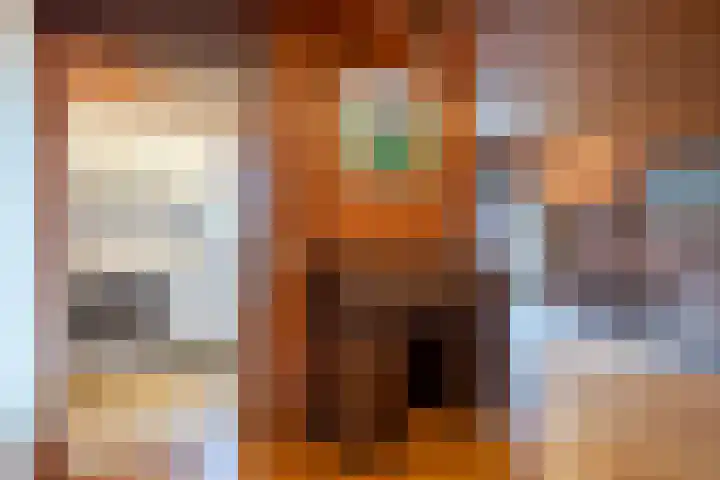 Burgemeester van de Loostraat 12 Berg en Terblijt thumbnail 10