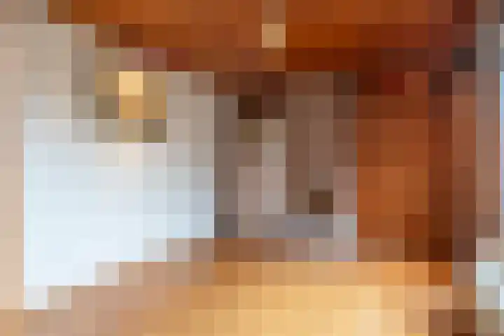 Burgemeester van de Loostraat 12 Berg en Terblijt thumbnail 15