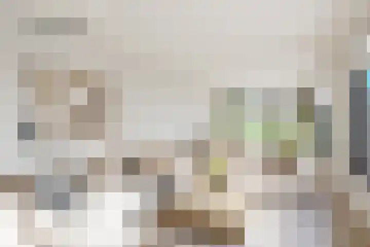 Burgemeester van de Loostraat 12 Berg en Terblijt thumbnail 19