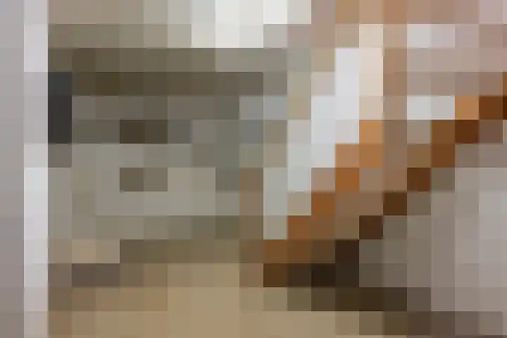 Burgemeester van de Loostraat 12 Berg en Terblijt thumbnail 21