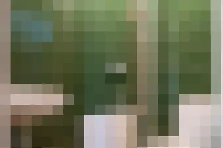 Burgemeester van de Loostraat 12 Berg en Terblijt thumbnail 25