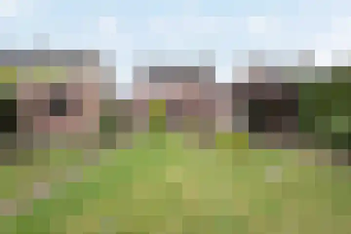 Burgemeester van de Loostraat 12 Berg en Terblijt thumbnail 39
