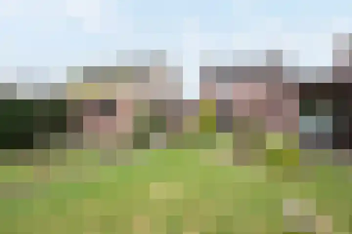 Burgemeester van de Loostraat 12 Berg en Terblijt thumbnail 40