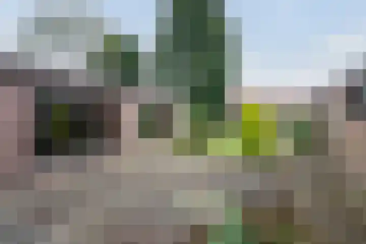 Burgemeester van de Loostraat 12 Berg en Terblijt thumbnail 41