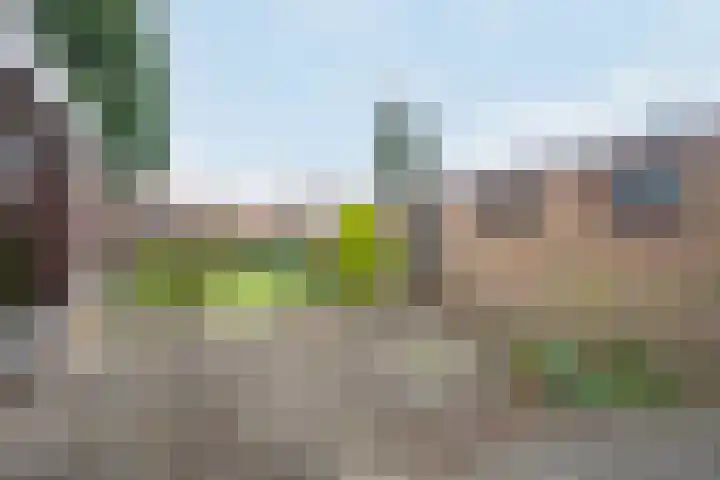 Burgemeester van de Loostraat 12 Berg en Terblijt thumbnail 42